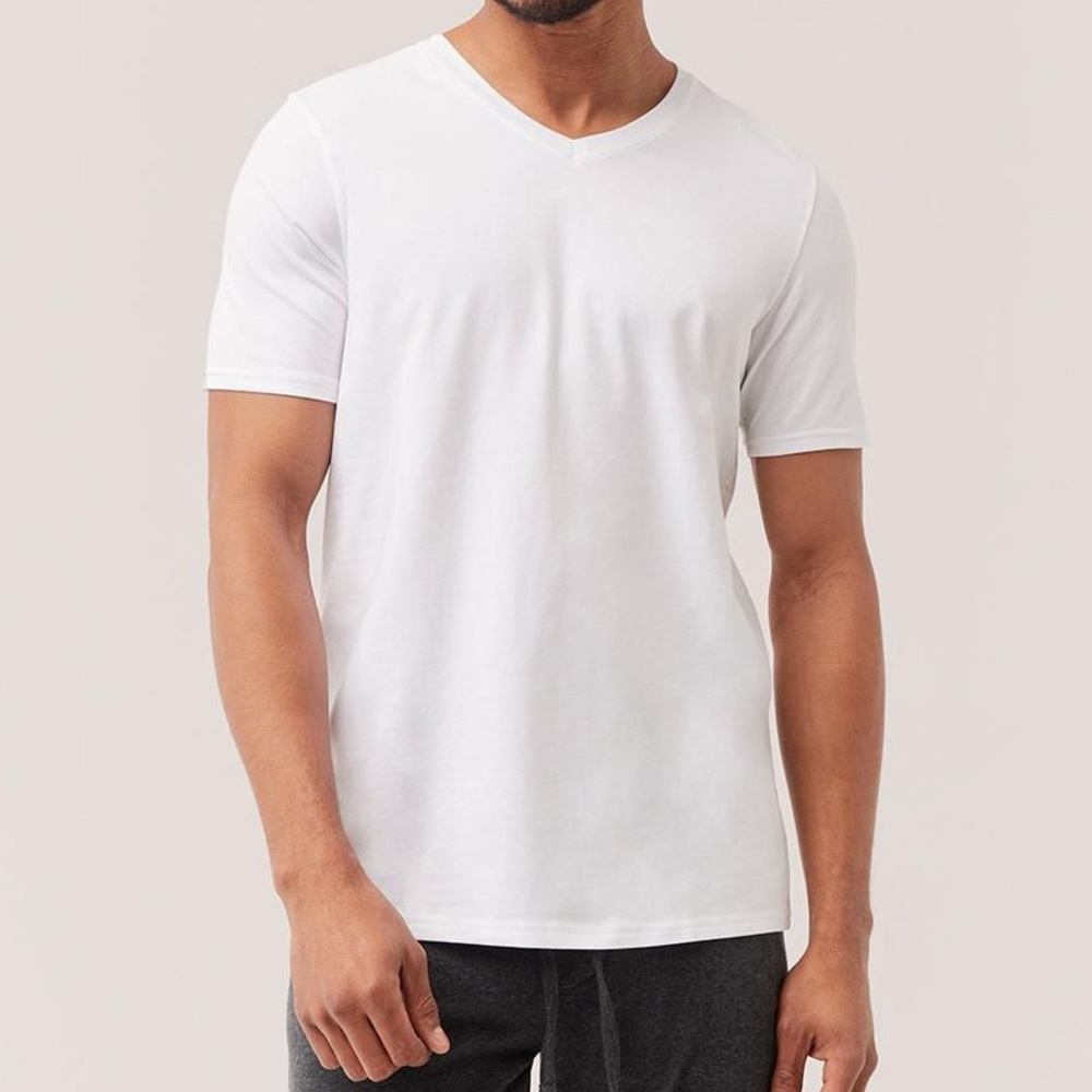 Pact 2-Pack V-Neck Undershirt Mens